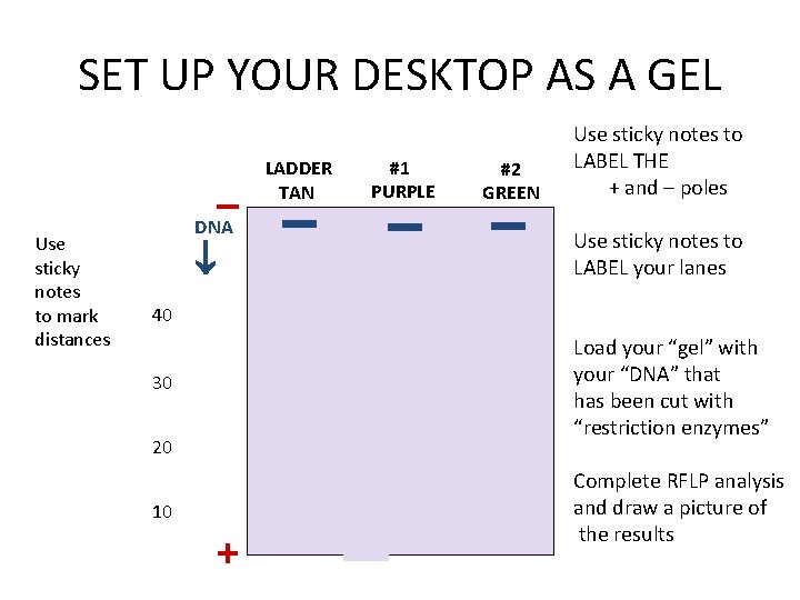 SET UP YOUR DESKTOP AS A GEL Use sticky notes to mark distances –