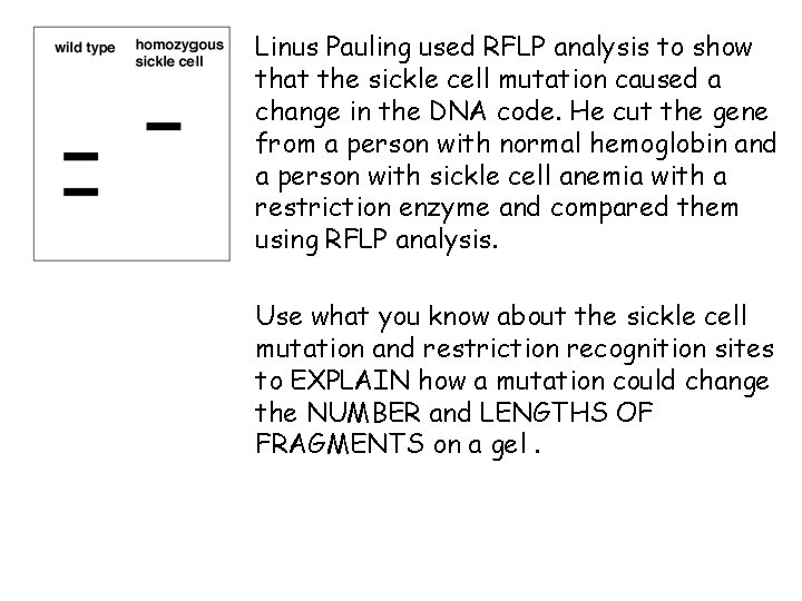 Linus Pauling used RFLP analysis to show that the sickle cell mutation caused a