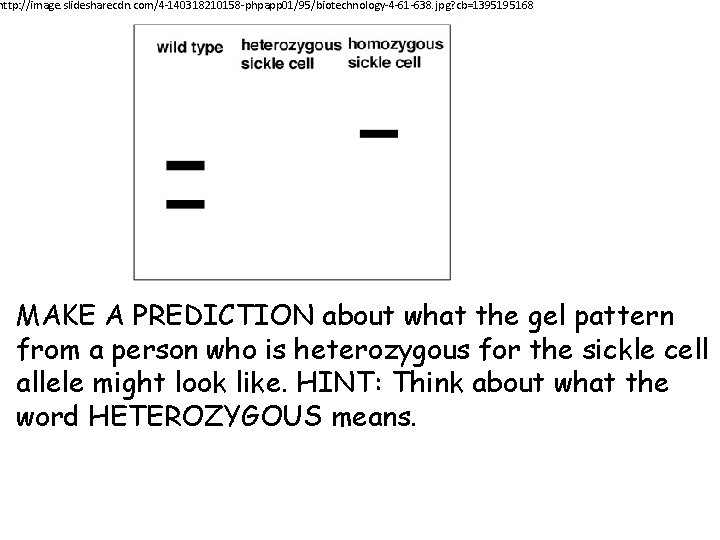 http: //image. slidesharecdn. com/4 -140318210158 -phpapp 01/95/biotechnology-4 -61 -638. jpg? cb=1395195168 MAKE A PREDICTION