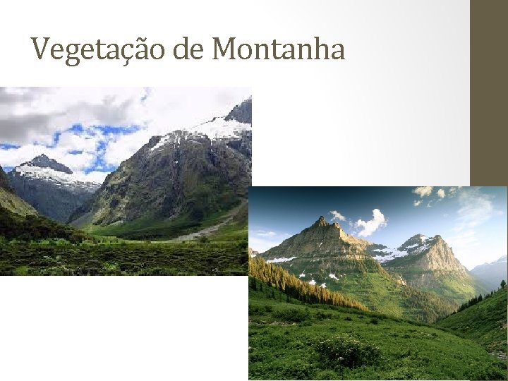 Vegetação de Montanha Vegetação de Montanha