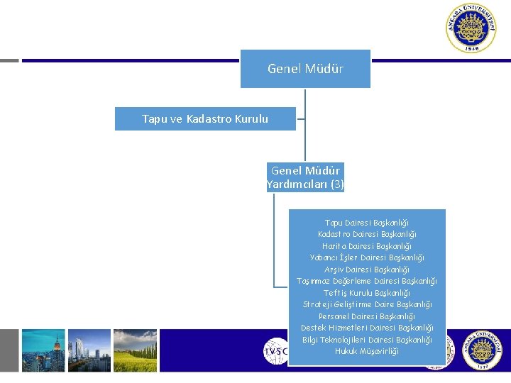 Genel Müdür Tapu ve Kadastro Kurulu Genel Müdür Yardımcıları (3) Tapu Dairesi Başkanlığı Kadastro