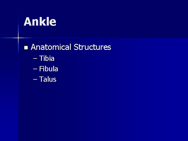 Ankle n Anatomical Structures – Tibia – Fibula – Talus 
