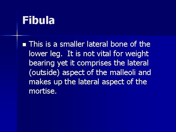 Fibula n This is a smaller lateral bone of the lower leg. It is