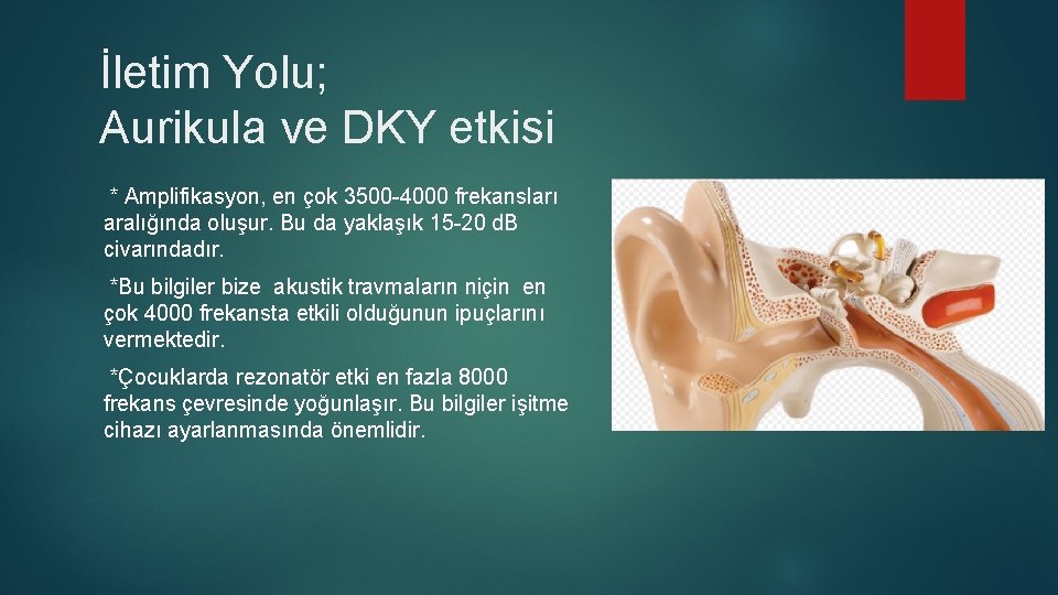 İletim Yolu; Aurikula ve DKY etkisi * Amplifikasyon, en çok 3500 -4000 frekansları aralığında