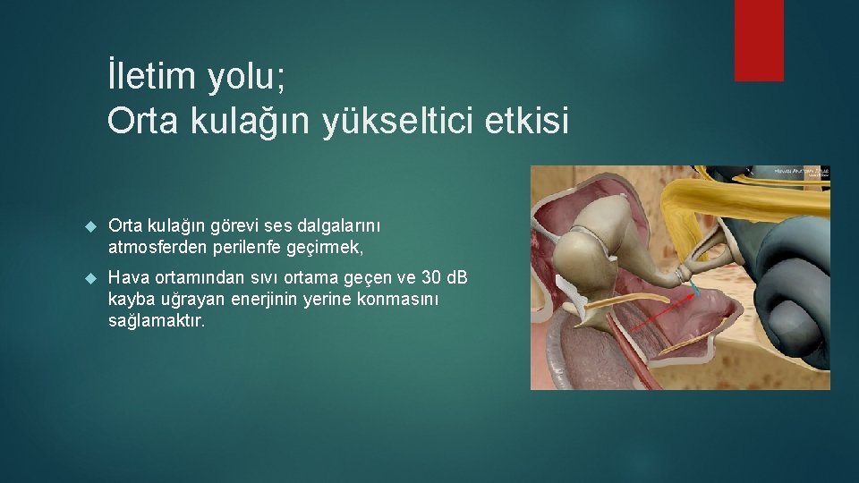 İletim yolu; Orta kulağın yükseltici etkisi Orta kulağın görevi ses dalgalarını atmosferden perilenfe geçirmek,