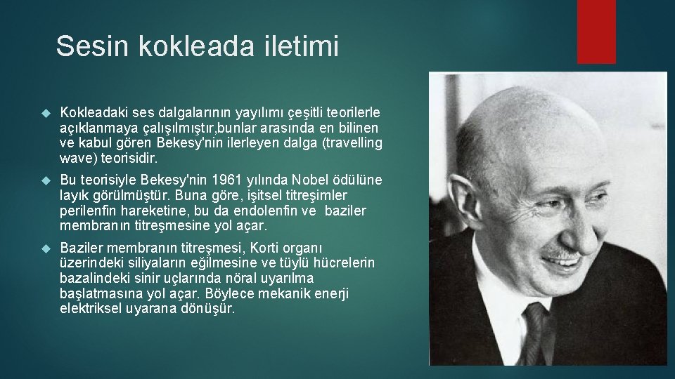 Sesin kokleada iletimi Kokleadaki ses dalgalarının yayılımı çeşitli teorilerle açıklanmaya çalışılmıştır, bunlar arasında en