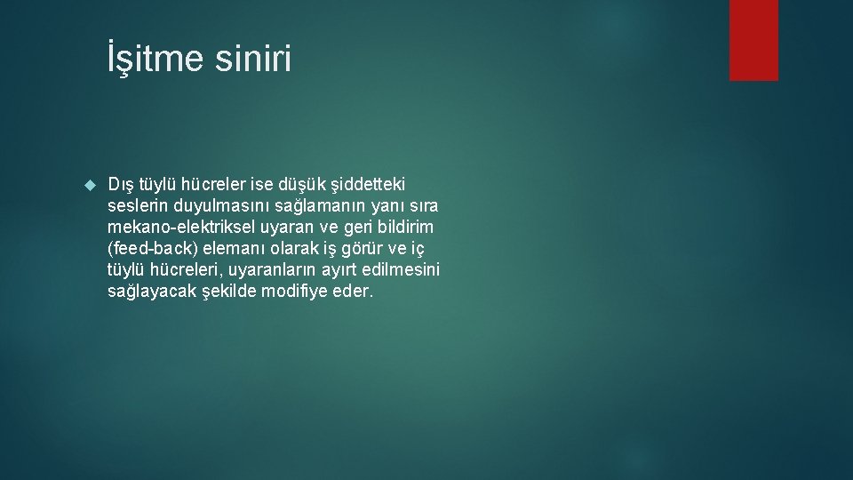 İşitme siniri Dış tüylü hücreler ise düşük şiddetteki seslerin duyulmasını sağlamanın yanı sıra mekano-elektriksel