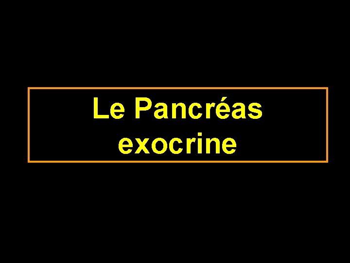 Le Pancréas exocrine 