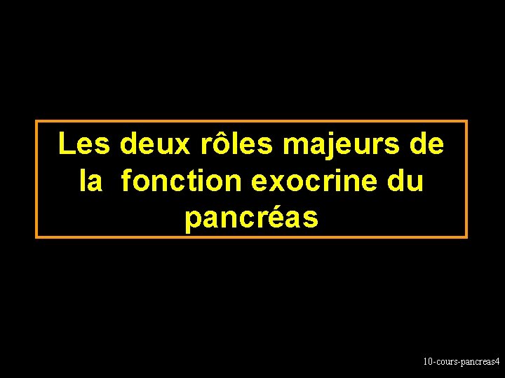 Les deux rôles majeurs de la fonction exocrine du pancréas 10 -cours-pancreas 4 