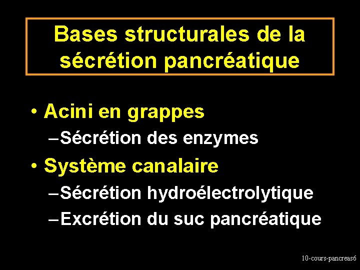 Bases structurales de la sécrétion pancréatique • Acini en grappes – Sécrétion des enzymes