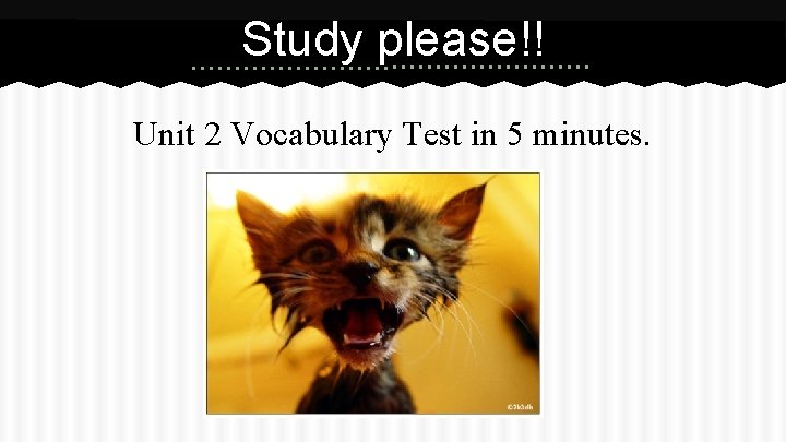 Study please!! Unit 2 Vocabulary Test in 5 minutes. 