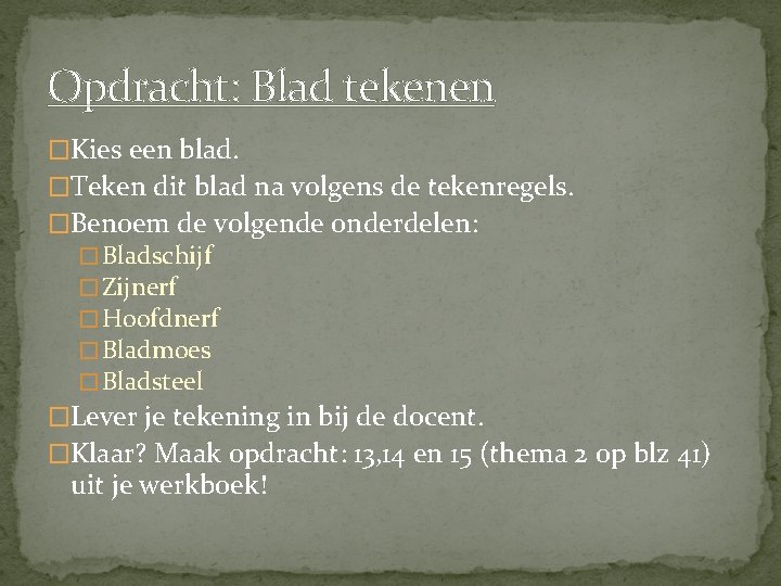 Opdracht: Blad tekenen �Kies een blad. �Teken dit blad na volgens de tekenregels. �Benoem