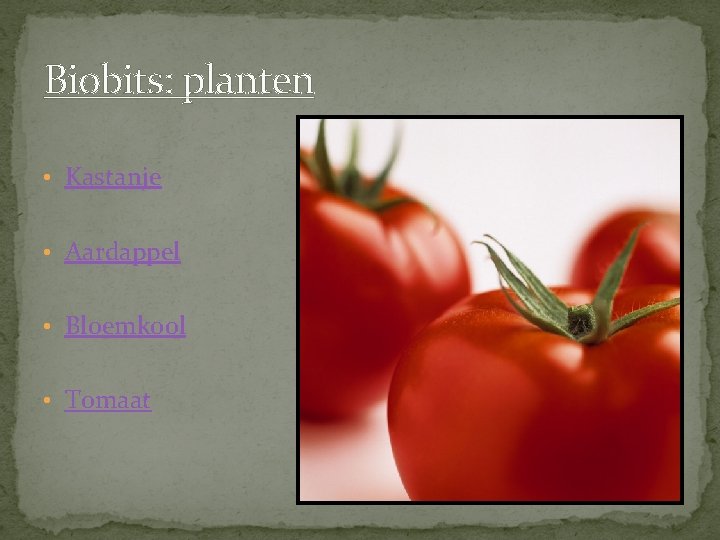 Biobits: planten • Kastanje • Aardappel • Bloemkool • Tomaat 