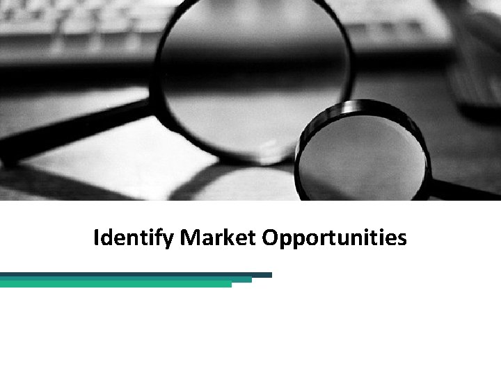 Identify Market Opportunities 