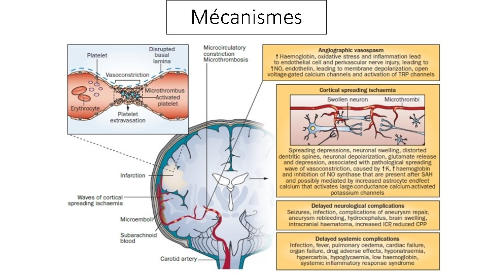 Mécanismes 