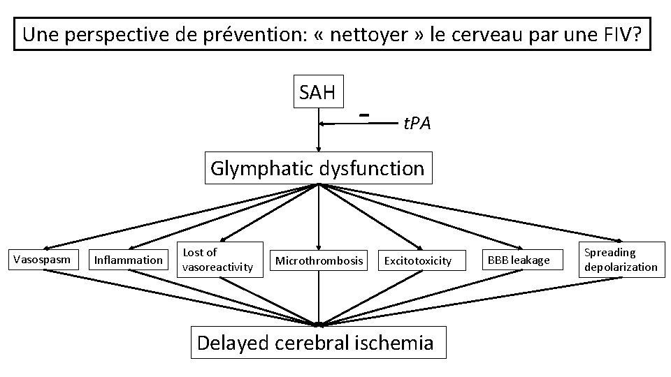 Une perspective de prévention: « nettoyer » le cerveau par une FIV? SAH -