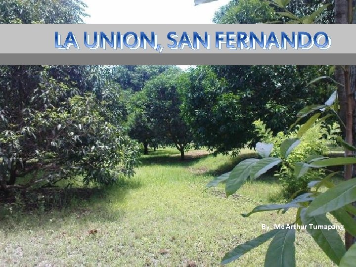 LA UNION, SAN FERNANDO By: Mc Arthur Tumapang 