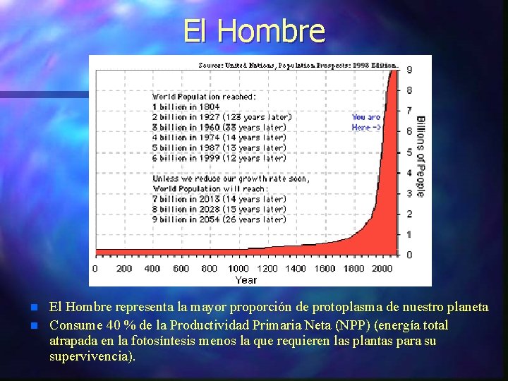 El Hombre n n El Hombre representa la mayor proporción de protoplasma de nuestro