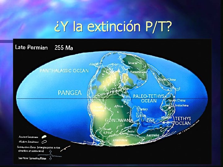 ¿Y la extinción P/T? 