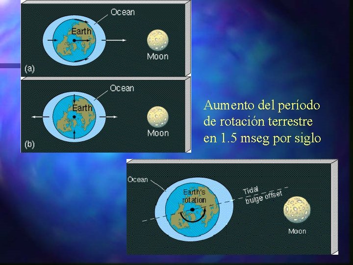 Aumento del período de rotación terrestre en 1. 5 mseg por siglo 