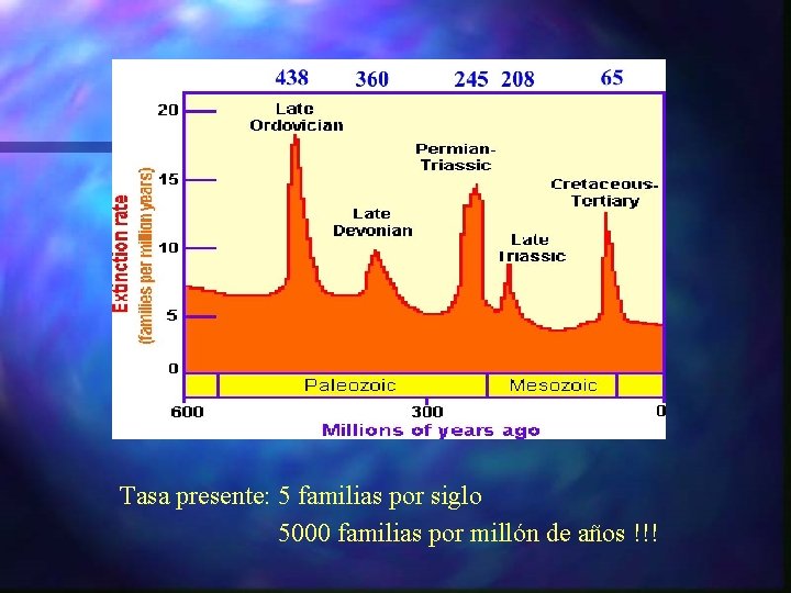 Tasa presente: 5 familias por siglo 5000 familias por millón de años !!! 