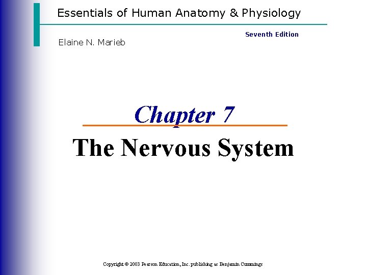 Essentials of Human Anatomy & Physiology Elaine N. Marieb Seventh Edition Chapter 7 The