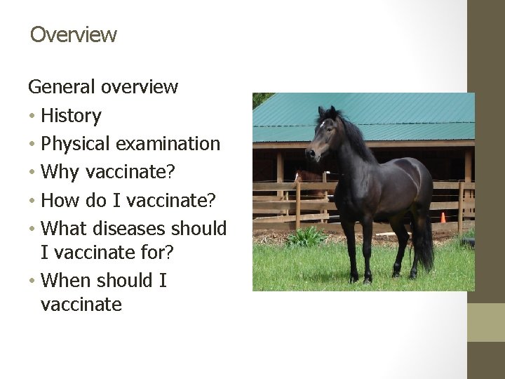 Overview General overview • History • Physical examination • Why vaccinate? • How do