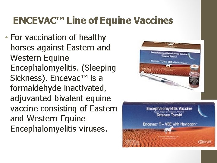 ENCEVAC™ Line of Equine Vaccines • For vaccination of healthy horses against Eastern and