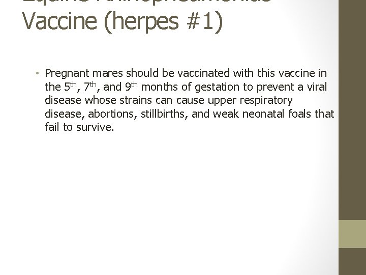 Equine Rhinopneumonitis Vaccine (herpes #1) • Pregnant mares should be vaccinated with this vaccine