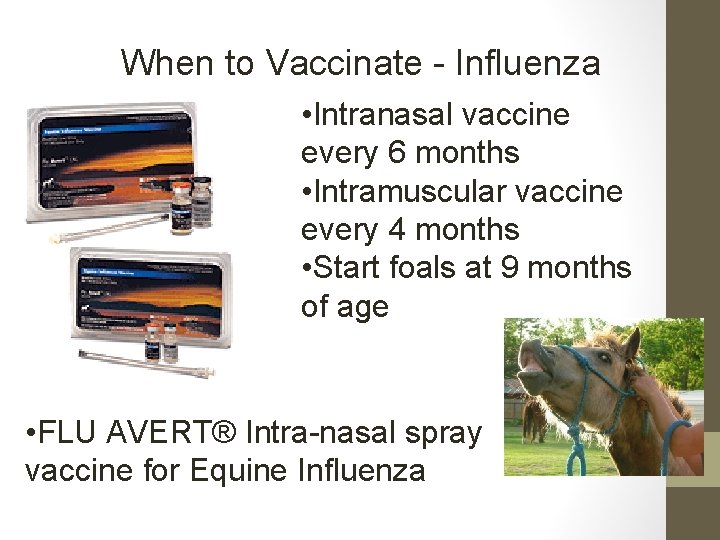 When to Vaccinate - Influenza • Intranasal vaccine every 6 months • Intramuscular vaccine