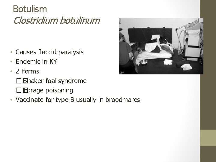 Botulism Clostridium botulinum • Causes flaccid paralysis • Endemic in KY • 2 Forms