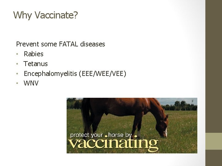 Why Vaccinate? Prevent some FATAL diseases • Rabies • Tetanus • Encephalomyelitis (EEE/WEE/VEE) •