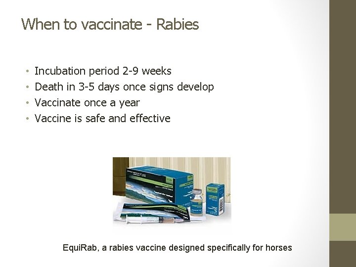 When to vaccinate - Rabies • • Incubation period 2 -9 weeks Death in