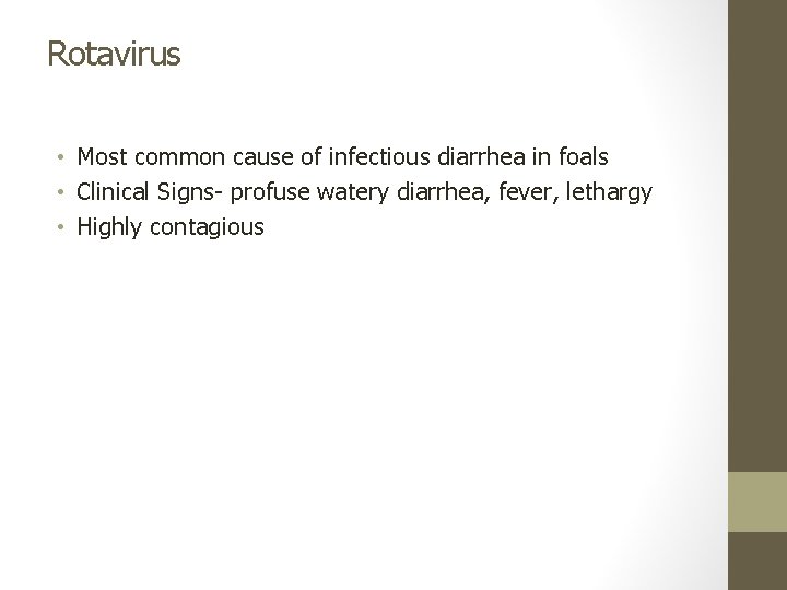 Rotavirus • Most common cause of infectious diarrhea in foals • Clinical Signs- profuse