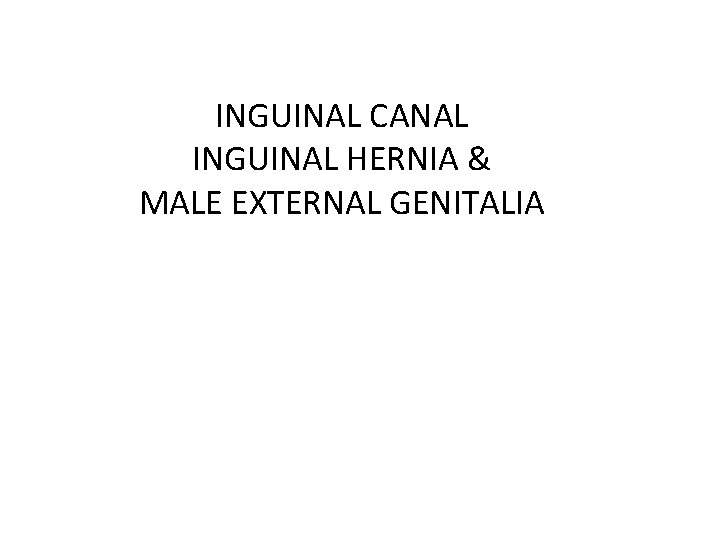 INGUINAL CANAL INGUINAL HERNIA & MALE EXTERNAL GENITALIA 