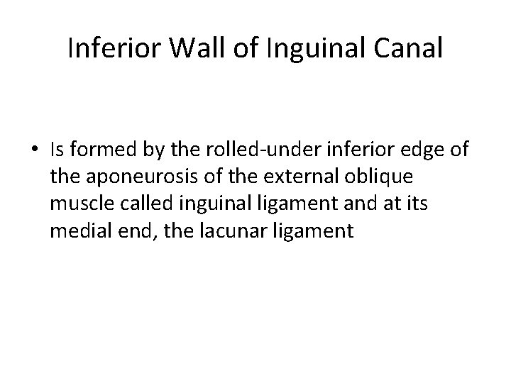 Inferior Wall of Inguinal Canal • Is formed by the rolled-under inferior edge of