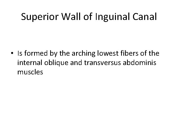 Superior Wall of Inguinal Canal • Is formed by the arching lowest fibers of