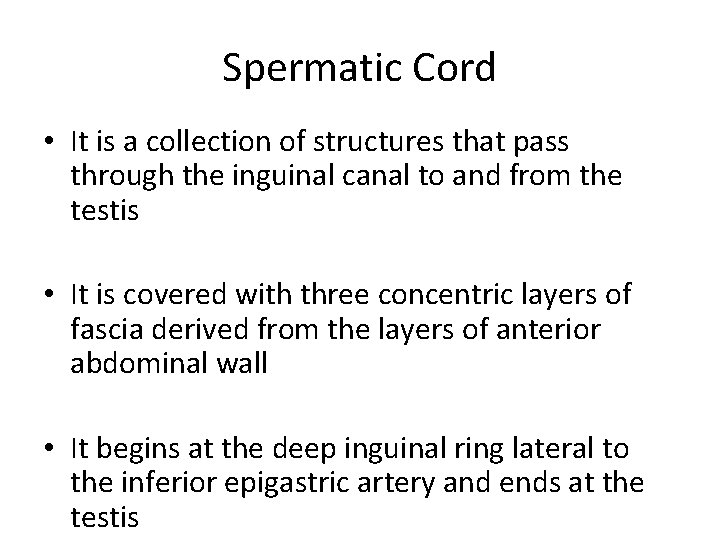 Spermatic Cord • It is a collection of structures that pass through the inguinal