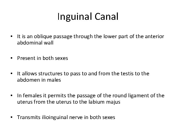 Inguinal Canal • It is an oblique passage through the lower part of the