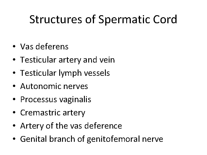 Structures of Spermatic Cord • • Vas deferens Testicular artery and vein Testicular lymph