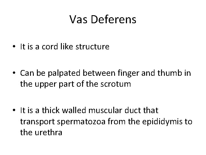 Vas Deferens • It is a cord like structure • Can be palpated between