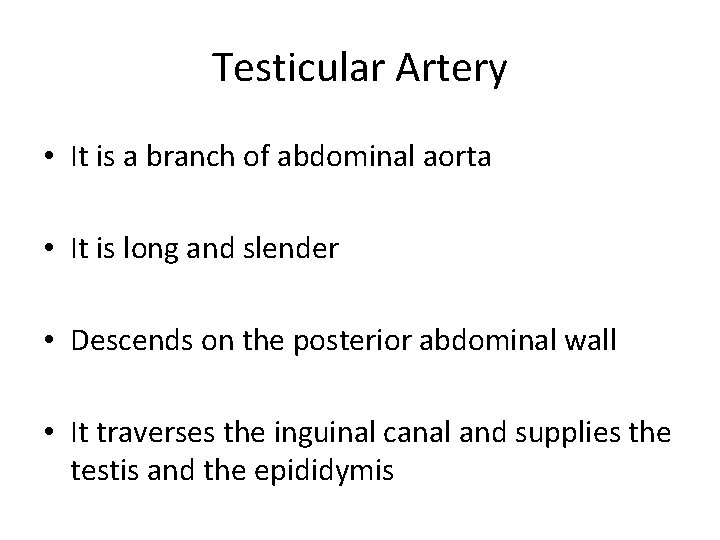 Testicular Artery • It is a branch of abdominal aorta • It is long