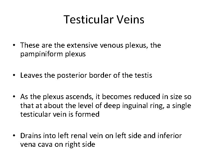 Testicular Veins • These are the extensive venous plexus, the pampiniform plexus • Leaves