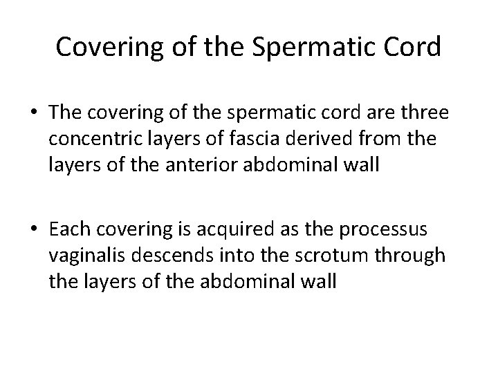 Covering of the Spermatic Cord • The covering of the spermatic cord are three