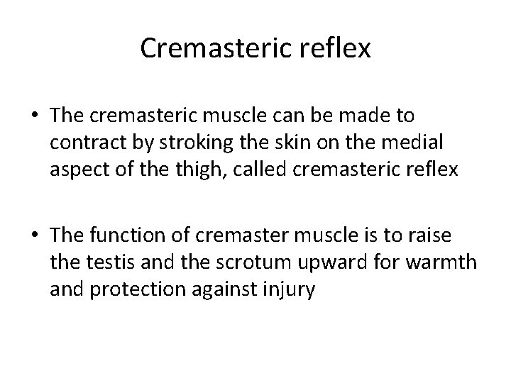 Cremasteric reflex • The cremasteric muscle can be made to contract by stroking the