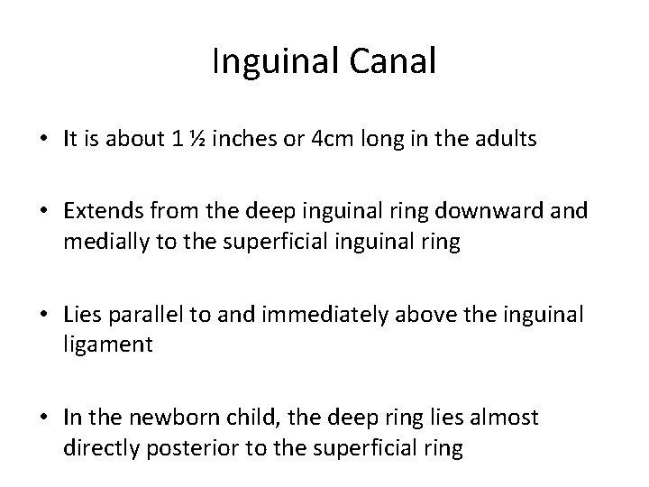 Inguinal Canal • It is about 1 ½ inches or 4 cm long in