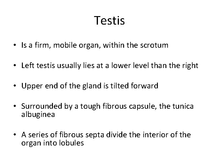 Testis • Is a firm, mobile organ, within the scrotum • Left testis usually