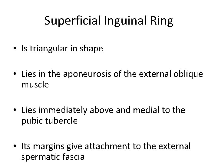 Superficial Inguinal Ring • Is triangular in shape • Lies in the aponeurosis of