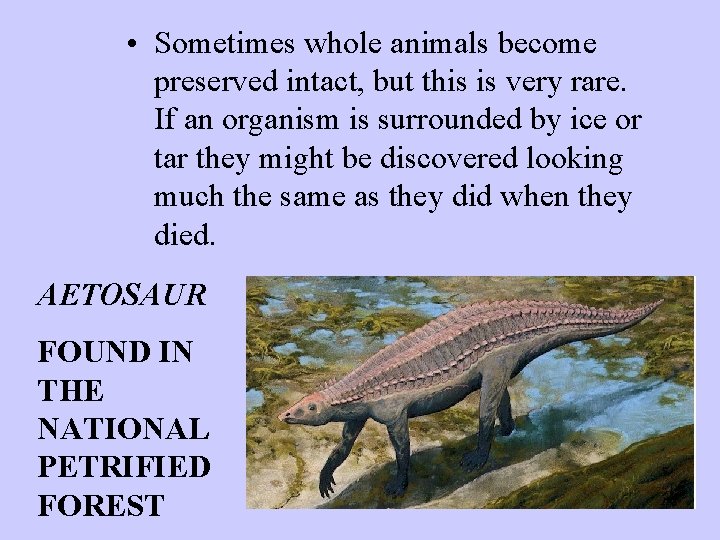  • Sometimes whole animals become preserved intact, but this is very rare. If