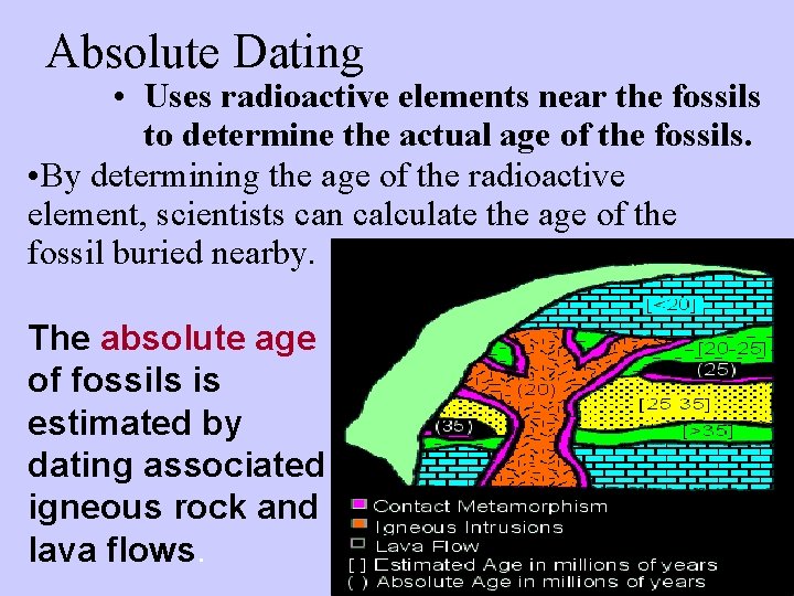 Absolute Dating • Uses radioactive elements near the fossils to determine the actual age